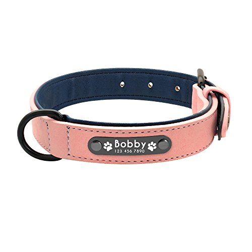 Hundehalsband, Hundehalsband, maßgeschneidert, Leder, Namensschilder für kleine, mittelgroße und große Hunde, 1 Stück, Rosa XXL von AMOIZH