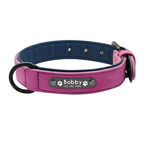 Hundehalsband, Hundehalsband, maßgeschneidert, Leder, Namensschilder für kleine, mittelgroße und große Hunde, 1 Stück, Violett XL von AMOIZH