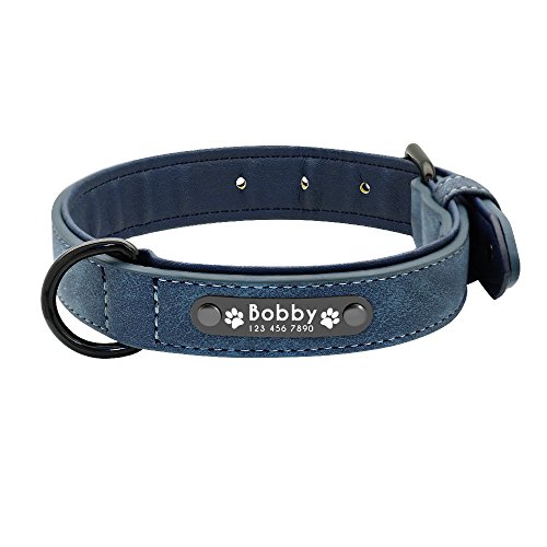 Hundehalsband, Hundehalsband, maßgeschneidert, Leder, Namensschilder für kleine, mittelgroße und große Hunde, 1 Stück, blau, S von AMOIZH