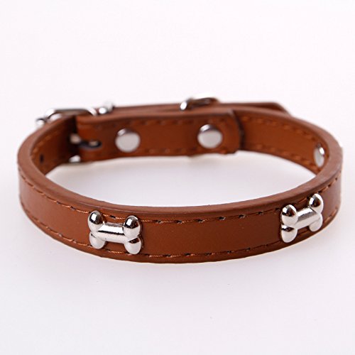 Hundehalsband, Knochenleder, langlebig, Haustier-Hundehalsband, Haustierzubehör, Halsband, Halsband für kleine große Hunde, 2 Stück, Kaffeebraun von AMOIZH