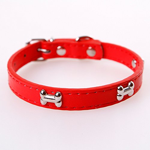 Hundehalsband, Knochenleder, langlebig, Haustier-Hundehalsband, Haustierzubehör, Halsband, Halsband für kleine große Hunde, 2 Stück, rot, M von AMOIZH