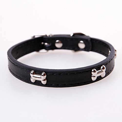 Hundehalsband, Knochenleder, langlebig, Haustier-Hundehalsband, Haustierzubehör, Halsband, Halsband für kleine große Hunde, 2 Stück, schwarz, M von AMOIZH