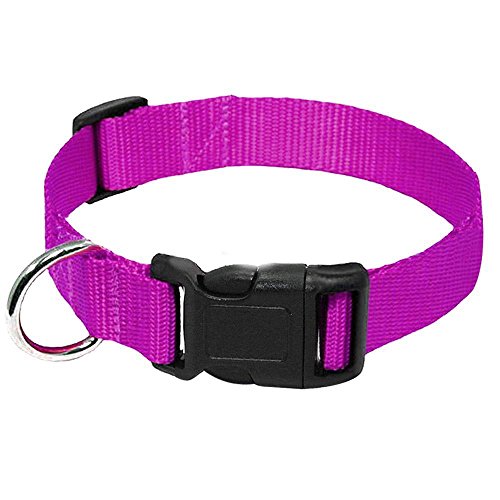 Hundehalsband, Nylongewebe, Hundehalsband, strapazierfähig, Clip-Schnalle, Haustierhalsband für kleine, mittelgroße Hunde, 20 Stück, Violett, M von AMOIZH