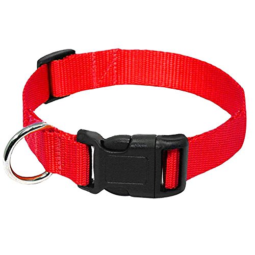 Hundehalsband, Nylongewebe, Hundehalsband, strapazierfähig, Clip-Schnalle, Haustierhalsband für kleine, mittelgroße Hunde, 20 Stück, rot, L von AMOIZH