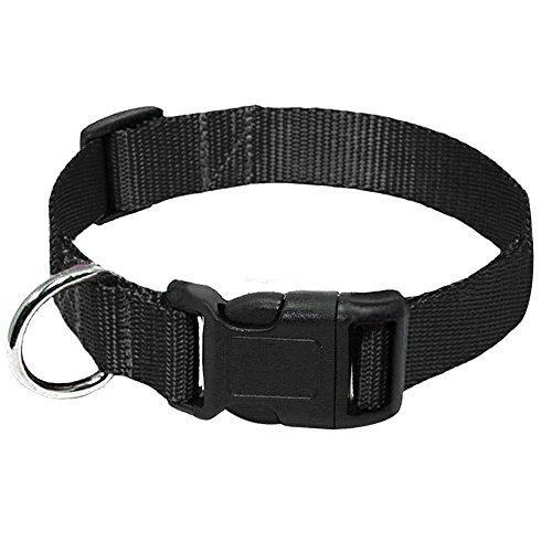 Hundehalsband, Nylongewebe, Hundehalsband, strapazierfähig, Clip-Schnalle, Haustierhalsband für kleine, mittelgroße Hunde, 20 Stück, schwarz, L von AMOIZH