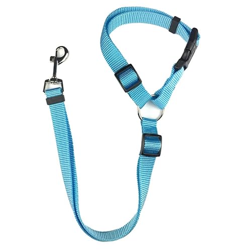 Hundehalsband, einfarbig, 2-in-1-Haustier-Auto-Sicherheitsgurt, Nylon-Leine, Rücksitz-Sicherheitsgurt, verstellbar, Hundegeschirr, 1 Stück, Himmelblau von AMOIZH