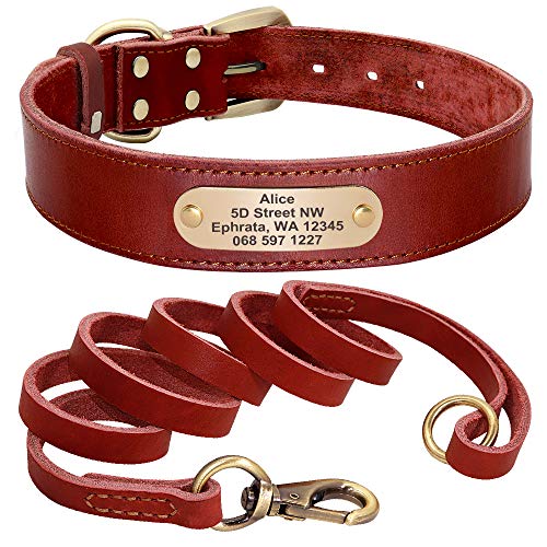 Hundehalsband, individuelles Leder-Hundehalsband, Leine, Set, maßgeschneidertes Haustierhalsband, Leine, kostenloses Gravur, Namensschild für kleine, mittelgroße und große Hunde, Rot Set S von AMOIZH