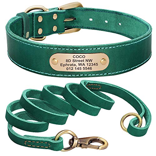 Hundehalsband, individuelles Leder-Hundehalsband, Leine, Set, maßgeschneidertes Haustierhalsband, Leine, kostenloses Gravur, Namensschild für kleine, mittelgroße und große Hunde, grünes Set S von AMOIZH