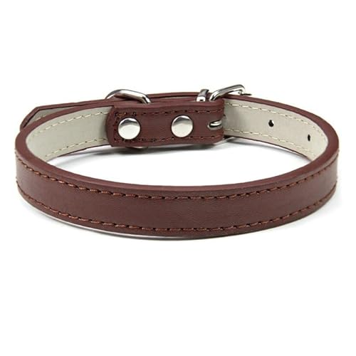 Hundehalsband, verstellbar, bunt, Haustierhalsband, Kätzchen, Katzenhalsband, PU-Leder, sicher für Hunde, weiches Haustierzubehör, 2 Stück, Kaffeebraun XL von AMOIZH