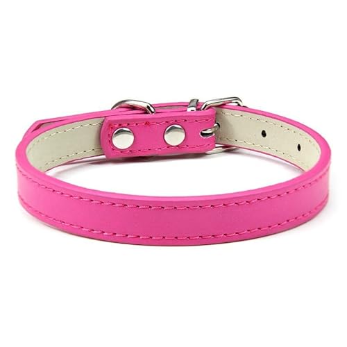 Hundehalsband, verstellbar, bunt, Haustierhalsband, Kätzchen, Katzenhalsband, PU-Leder, sicher für Hunde, weiches Haustierzubehör, 2 Stück, Rosenrot, XL von AMOIZH