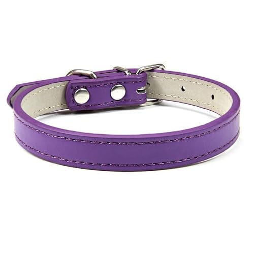 Hundehalsband, verstellbar, bunt, Haustierhalsband, Kätzchen, Katzenhalsband, PU-Leder, sicher für Hunde, weiches Haustierzubehör, 2 Stück, Violett 1,3 x von AMOIZH