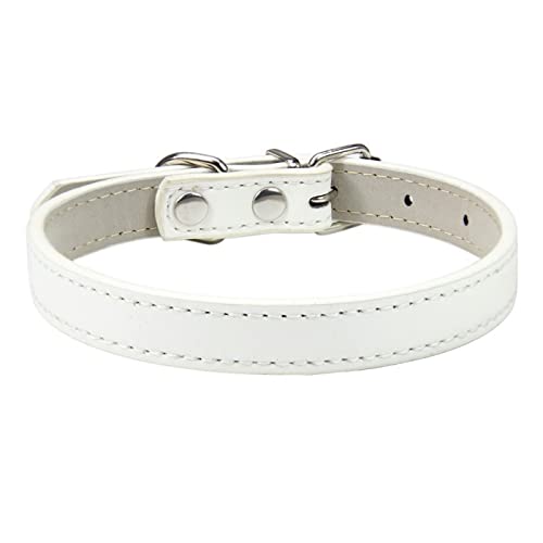 Hundehalsband, verstellbar, bunt, Haustierhalsband, Kätzchen, Katzenhalsband, PU-Leder, sicher für Hunde, weiches Haustierzubehör, 2 Stück, Weiß 1,3 S von AMOIZH