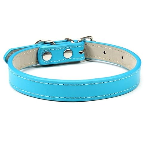 Hundehalsband, verstellbar, bunt, Haustierhalsband, Kätzchen, Katzenhalsband, PU-Leder, sicher für Hunde, weiches Haustierzubehör, 2 Stück, blau, L von AMOIZH