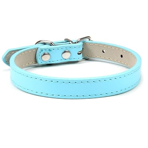 Hundehalsband, verstellbar, bunt, Haustierhalsband, Kätzchen, Katzenhalsband, PU-Leder, sicher für Hunde, weiches Haustierzubehör, 2 Stück, hellblau, XL von AMOIZH