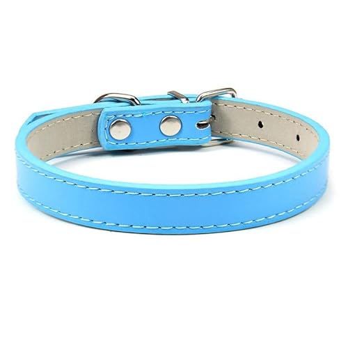 Hundehalsband, verstellbar, bunt, Haustierhalsband, Kätzchen, Katzenhalsband, PU-Leder, sicher für Hunde, weiches Haustierzubehör, 2 Stück, himmelblau, XL von AMOIZH