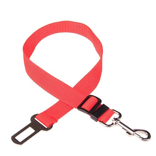 Hundehalsband Haustier Katze Hund Auto Sicherheitsgurt Verstellbarer Haustier Sitz Fahrzeug Hundegeschirr Leine Clip Sicherheitshebel Traktion Hundehalsband 2 Stück Rot von AMOIZH