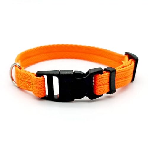 Hundehalsband für Haustiere, einfarbig, Welpenhalsbänder, mittelgroße Hunde, schnell entriegelt, Haustier-Trainingshalsband für kleine Hunde, 2 Stück, Orange M von AMOIZH