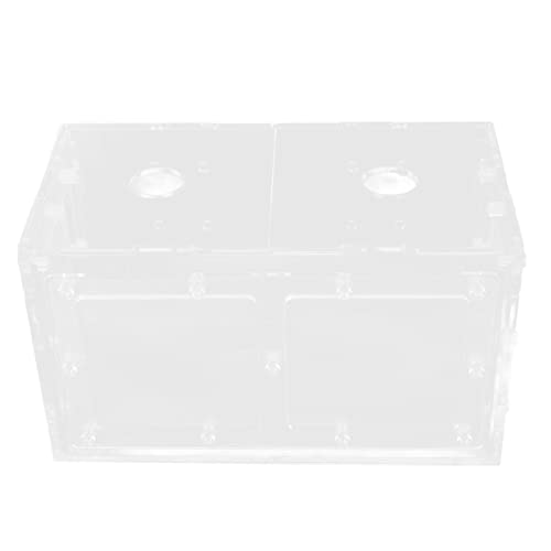 AMONIDA Fischzuchtbox, Schlagfester Transparenter Schutzhaken Installation Aquarium Inkubator für Kleine Fische Im Aquarium (17 * 9 * 10 cm) von AMONIDA