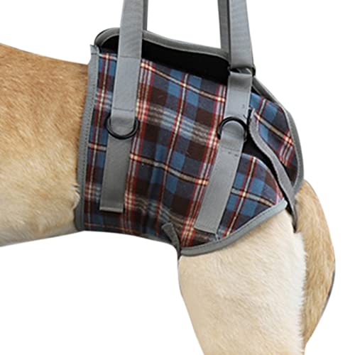 Hunde-Hilfsgurt, Atmungsaktives, Hautfreundliches Hunde-Hebegeschirr aus Polyester, Verstellbar für den Außenbereich (XL (30–40 kg / 66,1–88,2 lb empfohlen)) von AMONIDA