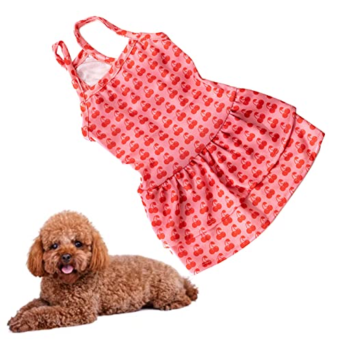 AMONIDA Hunde-Slip-Kleid, Leuchtende Farben, Polyester-Hundekleid, Richtige Elastizität, Weich, Bequem für Party (Kirschstil XL) von AMONIDA