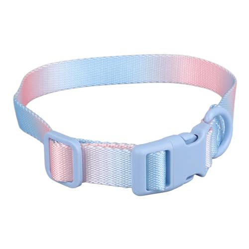 AMONIDA Hundehalsband, Farbenfrohes Sicherheitsschutz-Polyester, Stilvolles Hundehalsband für den Täglichen Gebrauch Beim Camping (Pink Blau) von AMONIDA