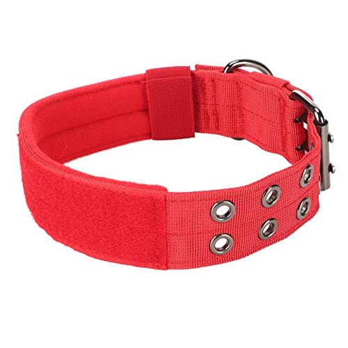 AMONIDA Hundehalsband, Rot, Verstellbares, Sicheres, Sorgfältig Genähtes Nylon-Haustierhalsband für das Training (L) von AMONIDA