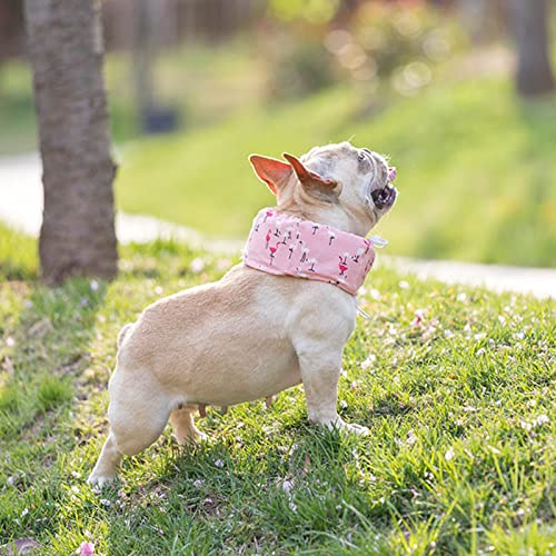 AMONIDA Kühlendes Bandana-Halsband für Hunde, Verstellbare Separate Taschen, Canvas-Hundekühlhalsband für den Sport (Flamingo L) von AMONIDA