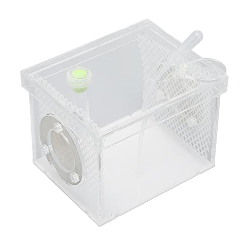 AMONIDA Reptile Containment Tank, Reptile Feeding Box für Cricket Safe Acryl für Wirbellose für Mantis (Kleine Größe) von AMONIDA