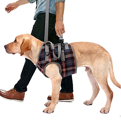 AMONIDA Hundehebegeschirr, Hundehilfsgeschirr Abnehmbarer Griff Verstellbar zum Gehen für ältere Hunde (XL (30-40kg / 66.1-88.2lb empfohlen)) von AMONIDA