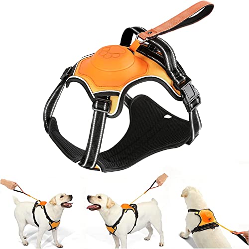 No Pull Dog Harness, AMORONE Upgrade 2 in 1 Reflective Step-in Air Dog Harness & Retractable Dog Leash, Adjustable Dog Vest with 2 Leash Clips and Control Handle for Medium and Large Dogs(Orange, L) von AMORONE