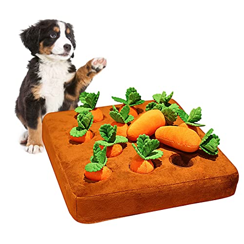 AMORPO Carrot Farm Hundespielzeug, Hunde-Kauspielzeug für kleine Hundewelpen, Hunde-Karotten-Patch, Förderung der natürlichen Nahrungssuche für Haustiere, Lernspielzeug (12 quietschende Karotten) von AMORPO