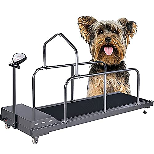 Laufband für kleine Hunde, Laufband für Hunde, Laufband für kleine und mittelgroße Hunde, Indoor-Laufband(Size:C200) von AMORPO