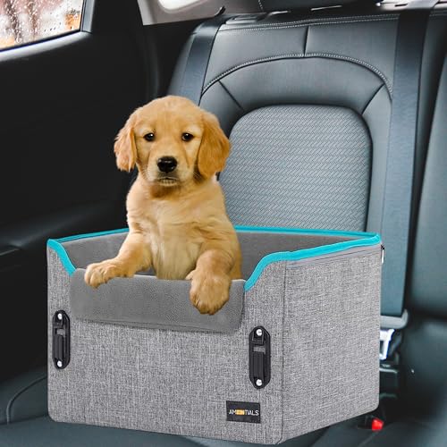 AMZENTIALS - Autositz Hund Sitze für kleine Hunde, Katzen und andere kleine Haustiere - Folding Car Booster Sitz - Hunde Autositz Hund, Hundebox Auto, Hundekorb, Transportbox Katze von AMZENTIALS