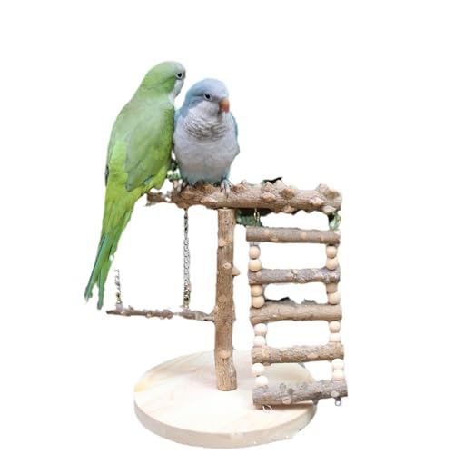 AMZTEMU Bird Playground Wood, Parrot Playstand, Wellensittich spielzeug, Wellensittich käfig, Wellensittich spielplatz, Nymphensittich spielzeug, Vogelspielzeug, Wellensittich schaukel(22*22*21,5CM) von AMZTEMU