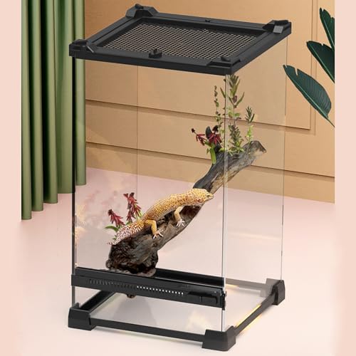 AMZTEMU Glas Vivarium, Reptile Terrarium Box, Reptile Food Box, Portable Habitat for Reptiles and Amphibians, Suitable for Spiders, Lizards, Frogs, Scorpions, Barbecues, Geckos(20 * 20 * 30cm) von AMZTEMU