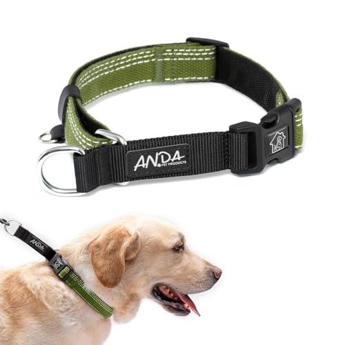 ANDA Martingale Hundehalsband mit Schnellverschluss-Schnalle, verstellbar, rutschfest, für den täglichen Gebrauch, Gehen und Training (Grün, M) von ANDA