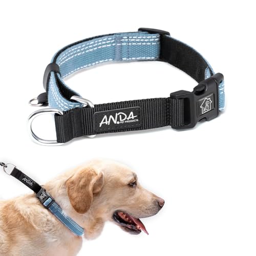 ANDA Martingale Hundehalsband mit Schnellverschluss-Schnalle, verstellbar, rutschfest, für den täglichen Gebrauch, Spazierengehen und Training (Blau, Größe M) von ANDA