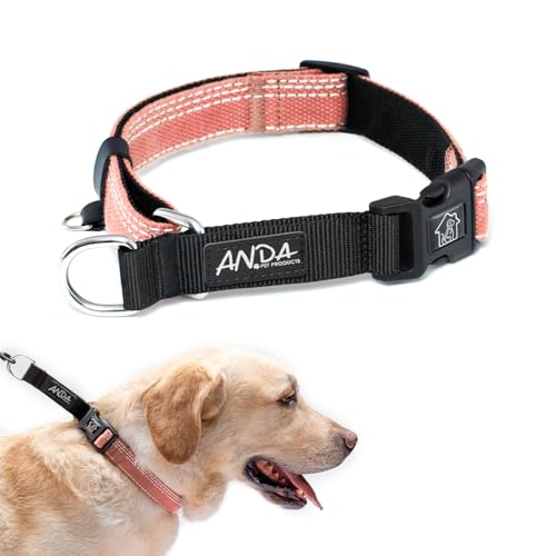 ANDA Martingale Hundehalsband mit Schnellverschluss-Schnalle, verstellbar, rutschfest, für den täglichen Gebrauch, Spazierengehen und Training (Rosa, Größe L) von ANDA