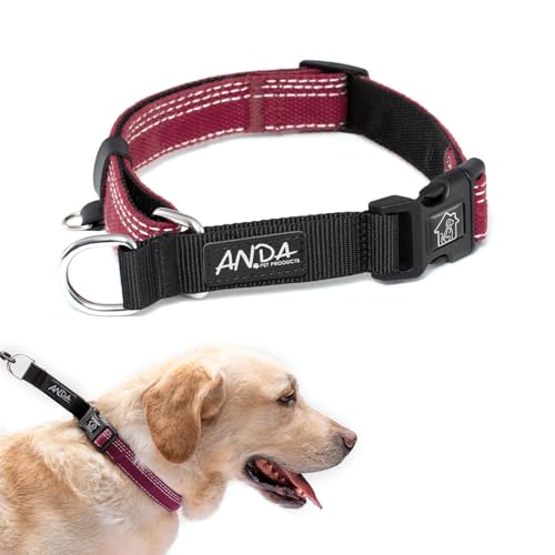 ANDA Martingale Hundehalsband mit Schnellverschluss-Schnalle, verstellbar, rutschfest, für den täglichen Gebrauch, Spaziergänge und Training, Burgunderrot, Größe M von ANDA