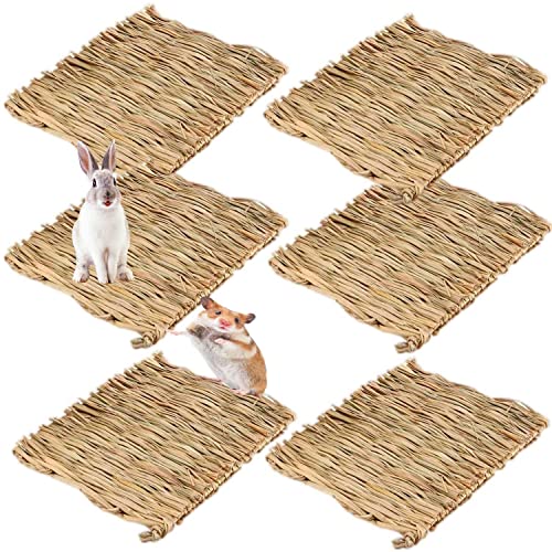 Grasmatte für Kaninchen, Kaninchen, Kauspielzeug, gewebte Bettmatte für Meerschweinchen, Chinchilla, Eichhörnchen, Hamster, Katzen, Hunde und Kleintiere (6 x Grasmatte) von ANDES