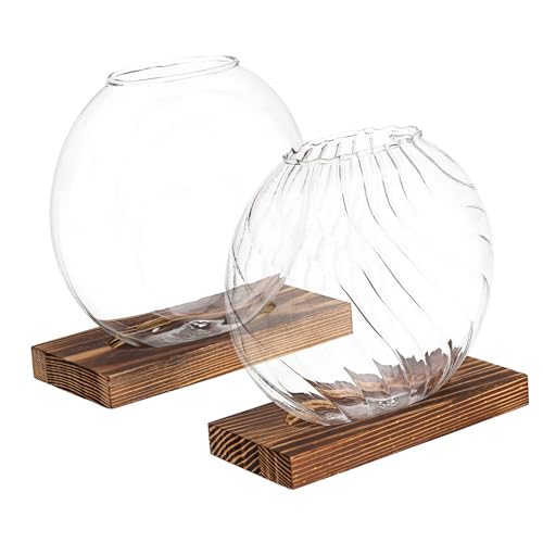 ANDRESLAD Elegantes Glasvasen-Set dekorative Pflanzen-Terrariengläser für Zuhause Büro Hotel 2 Stück von ANDRESLAD