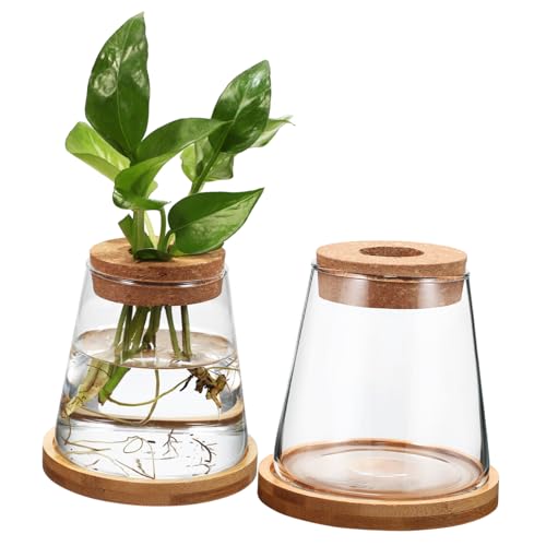 ANDRESLAD 2er Set Hydroponische Pflanzenvase Aus Mit Holzdeckel Und Bambusuntersetzer 330ml Terrarium Für Pflanzenvermehrung Und Dekoration Im Wohnraum von ANDRESLAD