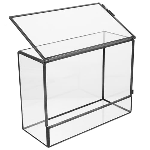 ANDRESLAD Mini Glas Terrarium Landschaft Display Anlage Terrarium Glas für Wohnzimmer von ANDRESLAD