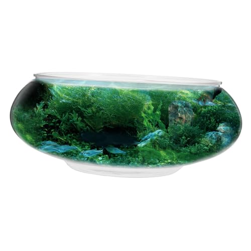 ANDRESLAD Transparente Landschaft Kleines Aquarium Transparentes Aquarium Fischzubehör Transparentes Betta Aquarium Kunststoff Aquarium Bürobedarf Multifunktions Aquarium von ANDRESLAD