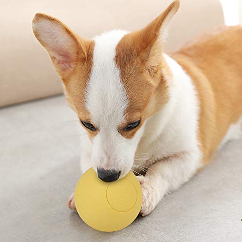 ANGGREK Ballspielzeug, Langlebiges 3-Farben-Gummi-elastisches, Verschleißfestes Haustier-Hundespielzeug, Backenzähne für Haustier-Hundewelpen-Ballspielzeug (Yellow) von ANGGREK