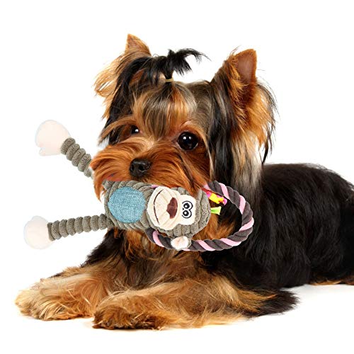 ANGGREK Kauspielzeug für Hunde, Hundespielzeug, Löwe, Weich, für Interaktives Training für Hunde, Welpen, Katzen (AFFE) von ANGGREK