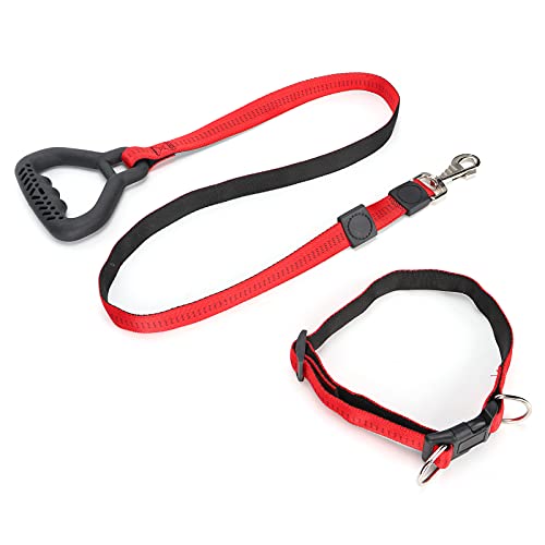 Strapazierfähiges Hundeleinenhalsband, Hundehalsband und Leine, Leinenset, 360° Drehbar, Flexibel für Spaziergänge mit Dem Hund (Rot) von ANGGREK