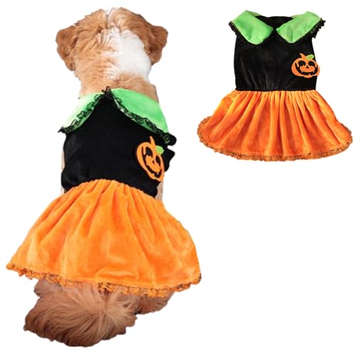 ANIAC Halloween-Hundekleid für kleine und mittelgroße Hunde, Kürbis- und Katzenkostüm, warme Welpenkleidung mit Kragen, lustiges Hunde-Outfit, Haustier-Halloween-Kostüm für Hunde und Katzen, Orange, von ANIAC