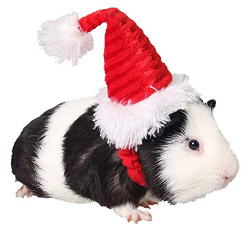 ANIAC Weihnachtshamstermütze, Meerschweinchen-Kostüm, Mini-Nikolausmütze für Kätzchen, Chinchilla, Kaninchen, Igel, Frettchen, Eichhörnchen, Ratten, Ente, neugeborene Welpen von ANIAC