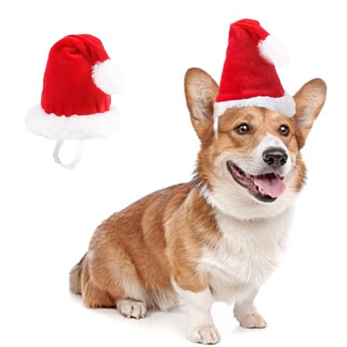 ANIAC Verstellbare 3D-Weihnachtsmütze für kleine Hunde und Katzen, Urlaubs-Haustierzubehör, Dekoration, Welpe, Weihnachtsanzug, Hunde-Weihnachtskostüm, Stirnband, Katzen-Weihnachtsmannmütze (rote von ANIAC